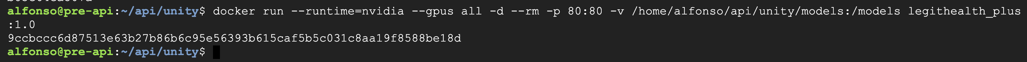 Docker run